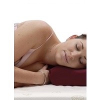 Sleep Away Pillow in Steri Plus Slip