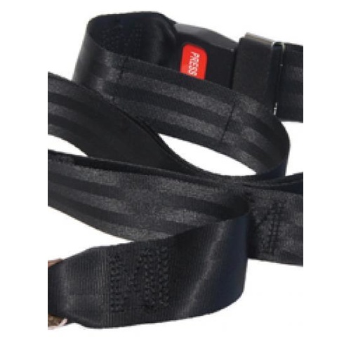 Wheelchair Seat Belt Accessory
